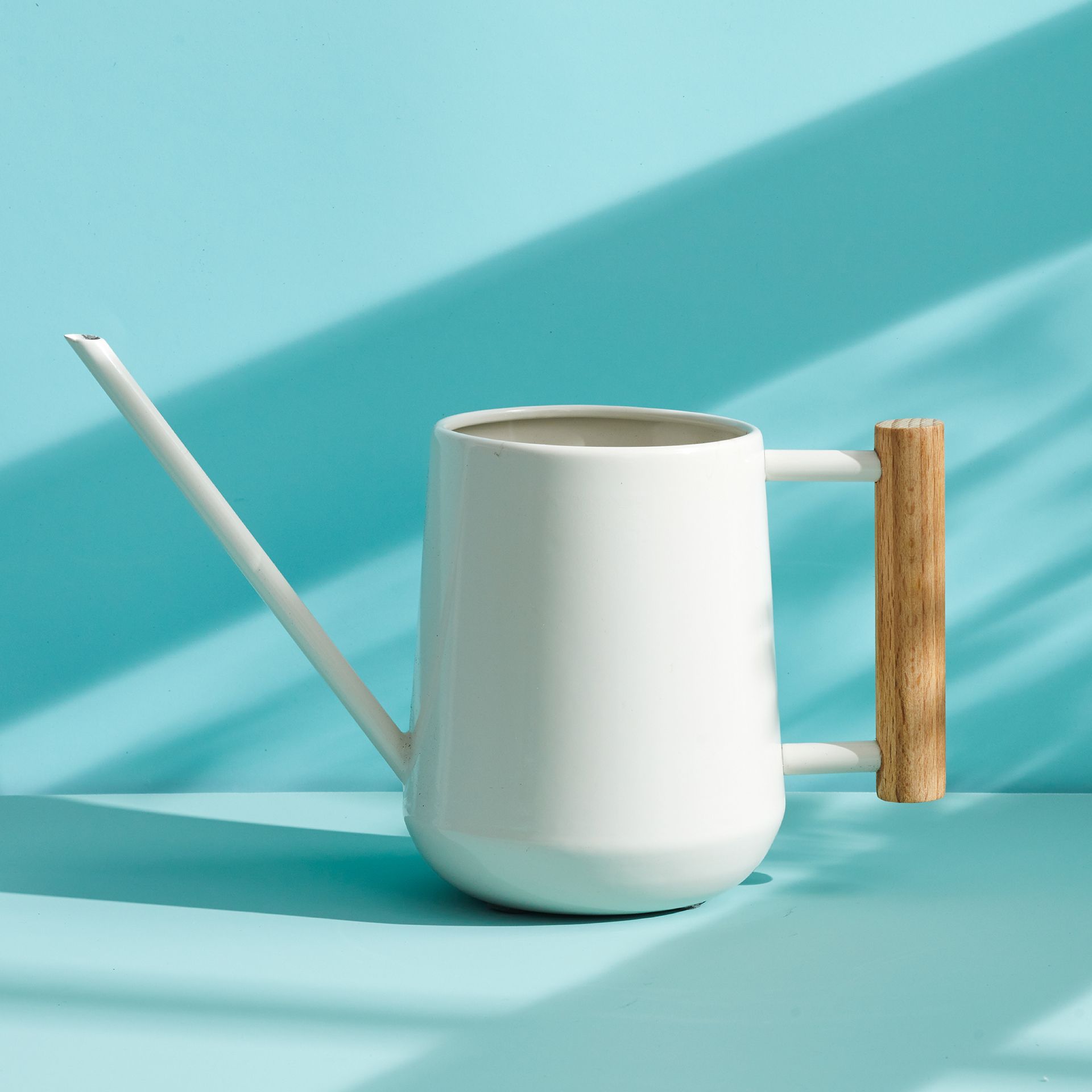 watering can for plants on blue background