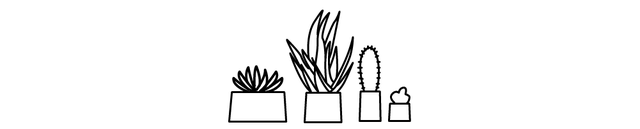Text, Plant, Leaf, Grass family, Botany, Line, Grass, Tree, Organism, Vascular plant, 