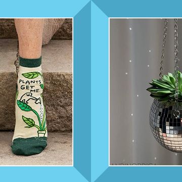 plants get me socks and disco ball hanging planter