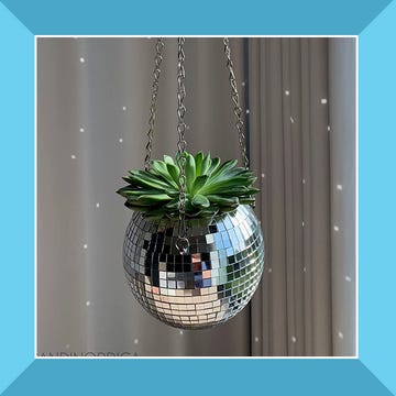 plants get me socks and disco ball hanging planter