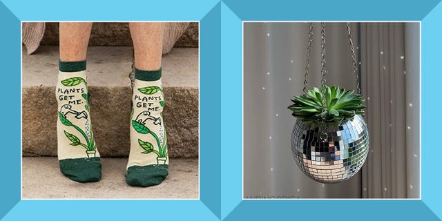 29+ Creative Gifts for Plant Lovers for 2022 - Growfully