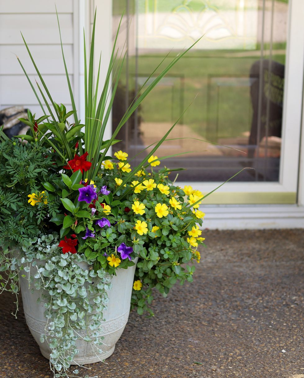 a multicolored potted plant on a porch in front of a residential home
