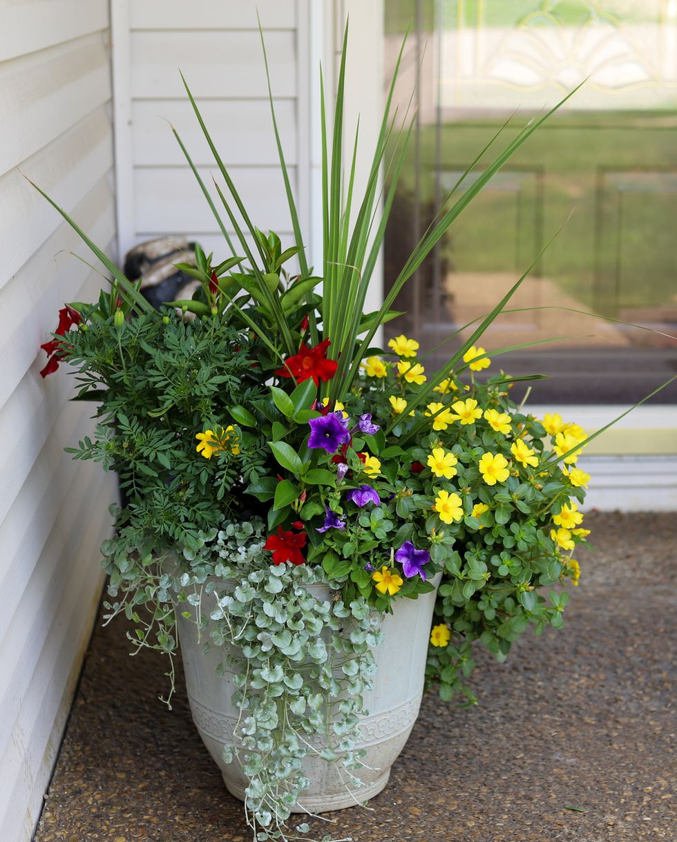a multicolored potted plant on a porch in front of a residential home