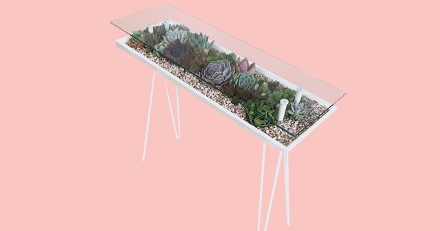 Here's How to Make Your Own Terrarium Coffee Table — DIY Terrarium