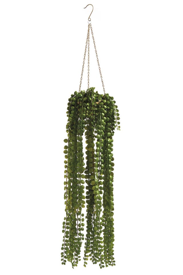 Planta colgante artificial