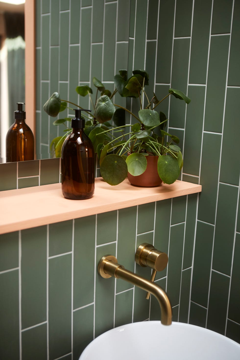 5 mejores plantas de interior para cuartos de bano pilea peperomioides