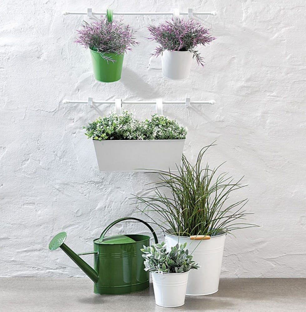 Flowerpot, Green, Houseplant, Wall, Shelf, Plant, Vase, Grass family, Flower, Herb, 