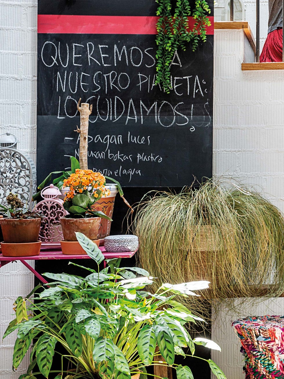 Ecológico