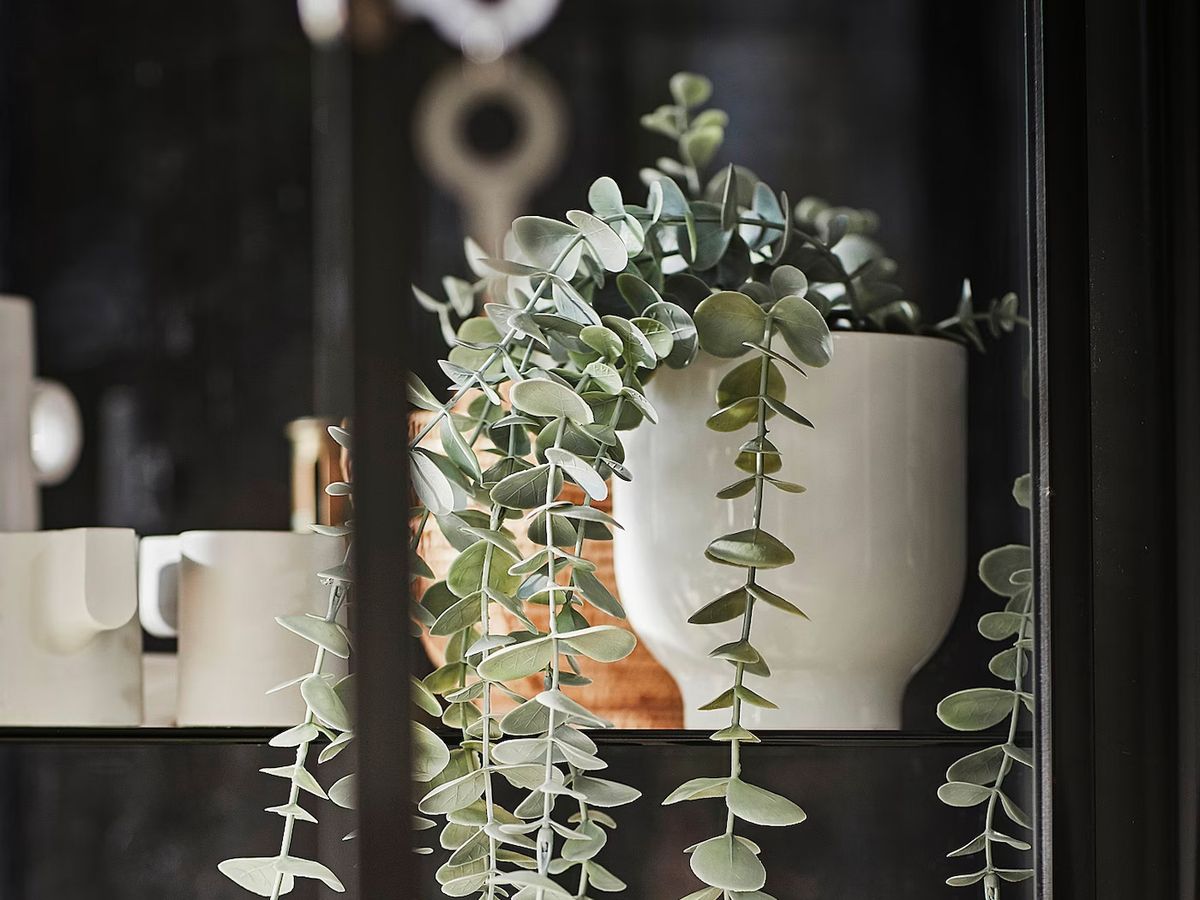 Cinco plantas artificiales perfectas para decorar el salón de tu casa o tu  oficina