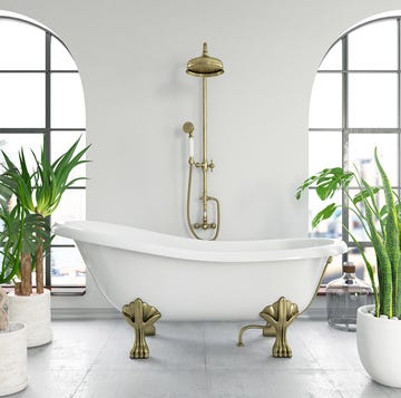 Plantas para el cuarto de baño plantas para el cuarto de baño