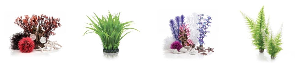 Acuarios de plantas