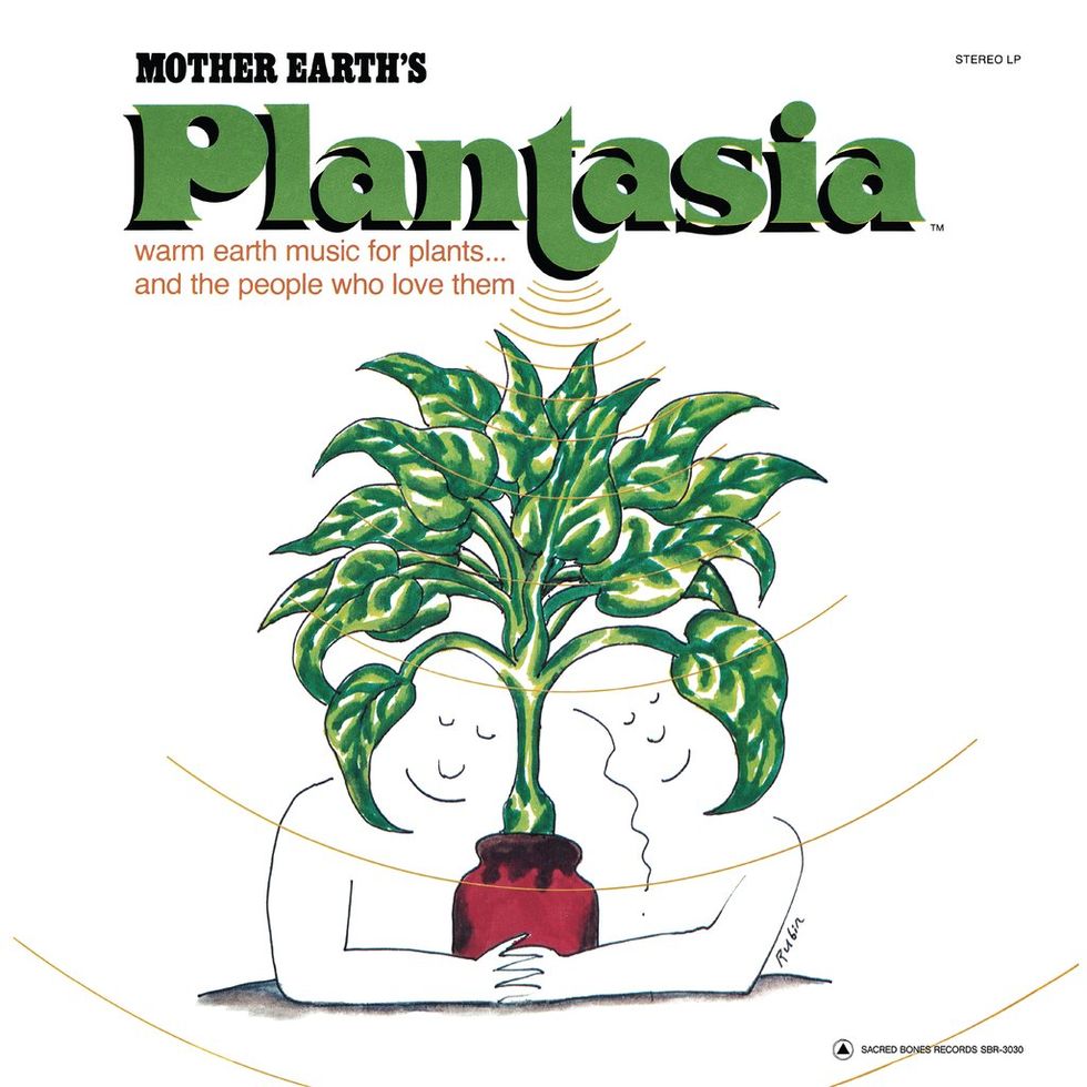 Botany, Plant, Tree, Clip art, Houseplant, Illustration, Graphics, 
