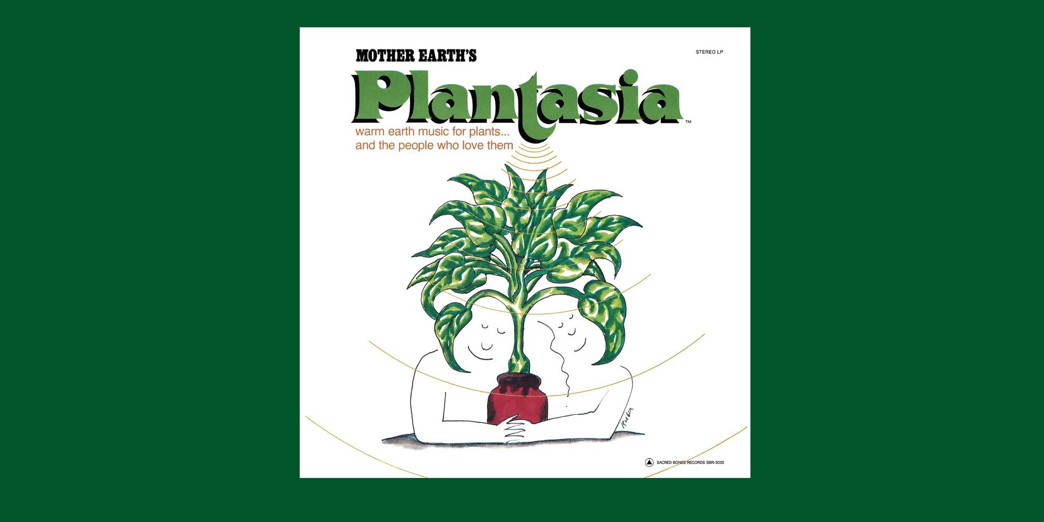 Green, Plant, Botany, Organism, Tree, Houseplant, Illustration, Font, Herb, Graphic design, 