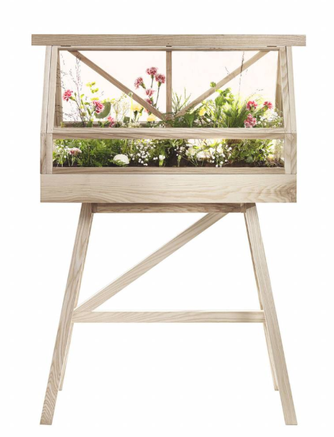 Table, Furniture, Easel, Plant, Flowerpot, Rectangle, Houseplant, Flower, Outdoor furniture, 