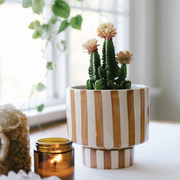 kaya shorty ceramic planter by justina blakeney™