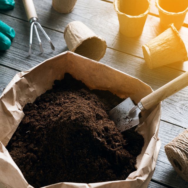 Top Picks Best Potting Soil for Indoor Plant Health