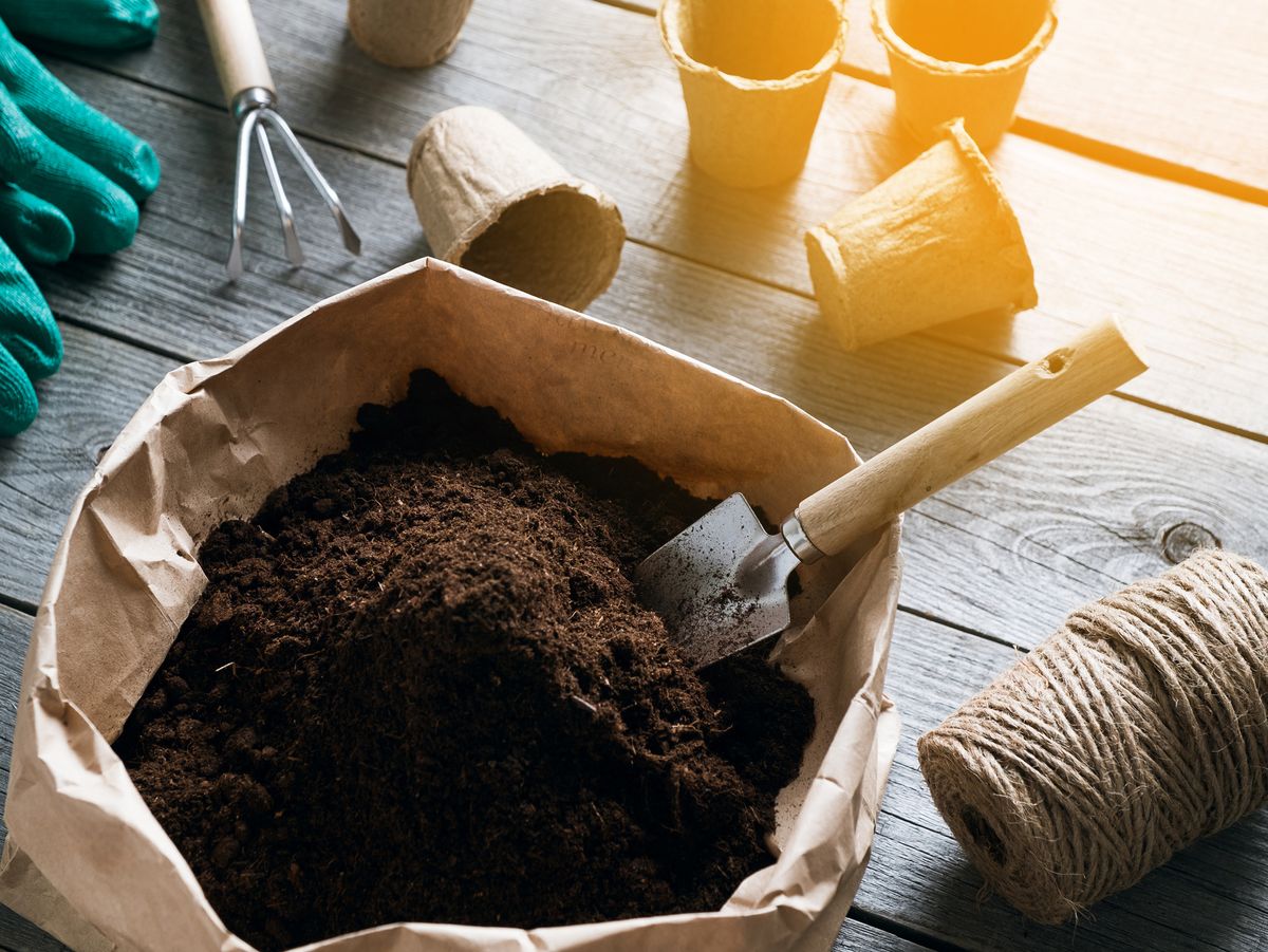 How to choose a good peat free potting mix (or compost)