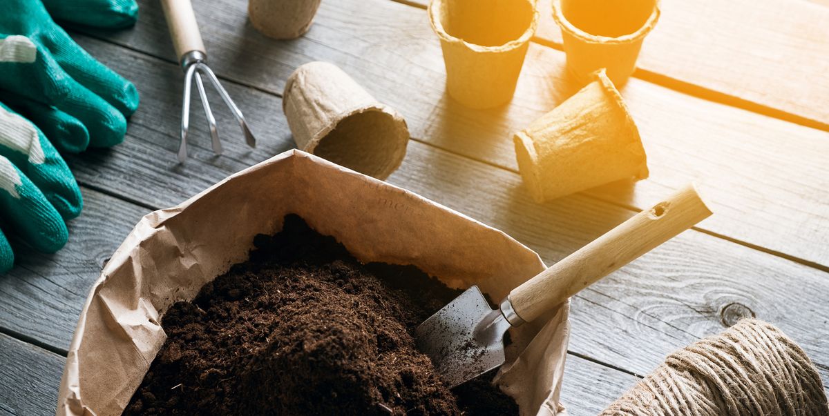 6 Best Potting Soils for Indoor and Outdoor Plants 2023