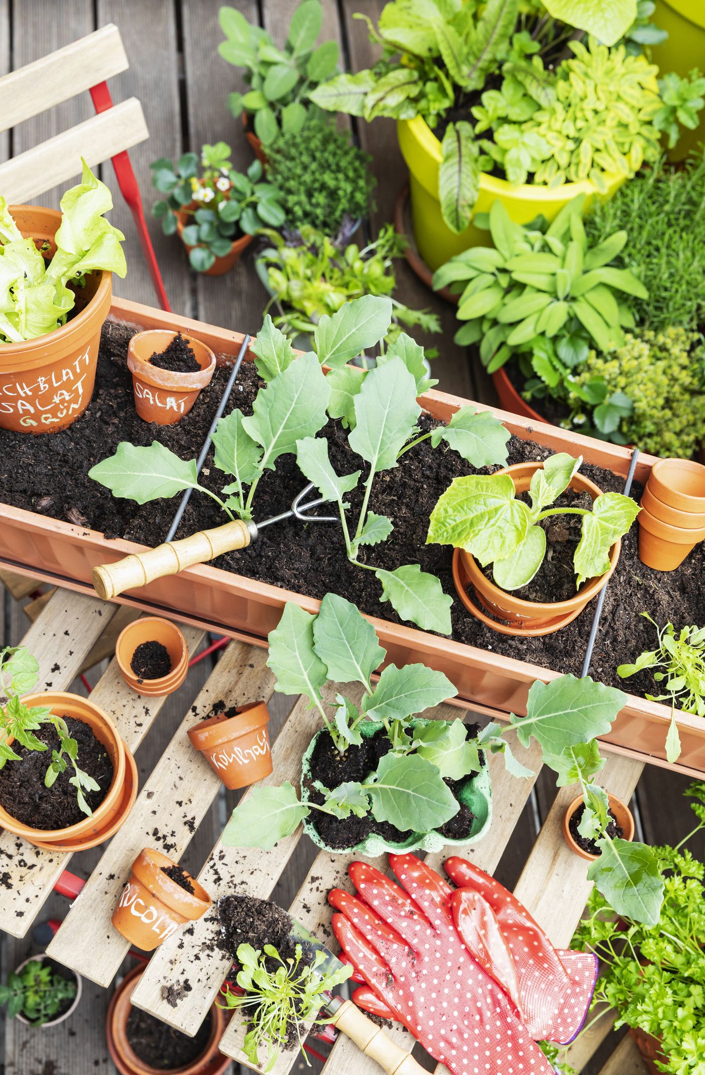 11 Vegetable Garden Ideas