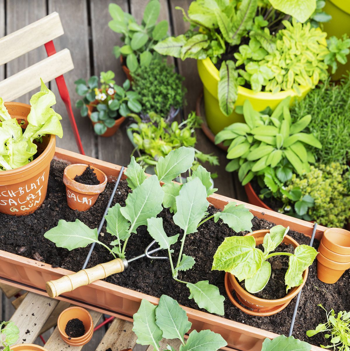 10 Tips for Organic Gardening At Home