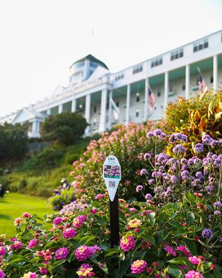 Mackinac Island's Grand Hotel has a 'Secret Garden' that's a social media  sensation 