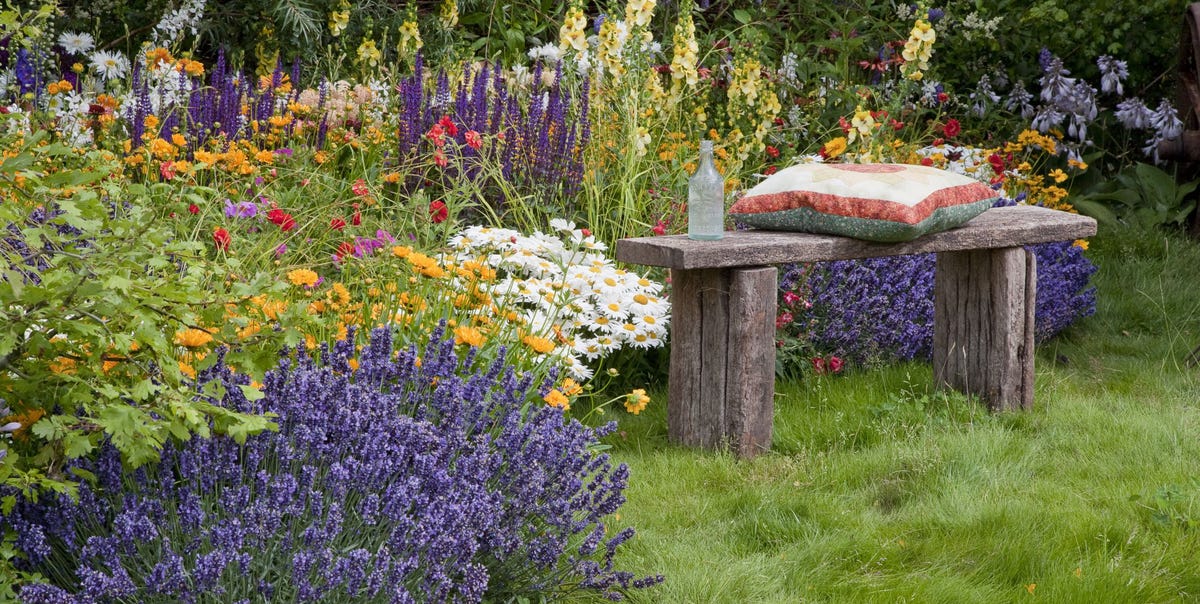 12 Plants That Repel Mosquitoes