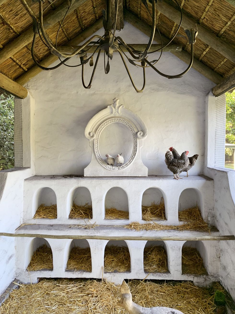 A Chic Plaster Chicken Coop