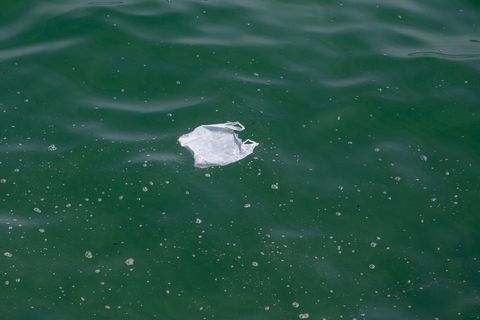 Plastic Waste Floating In The Sea