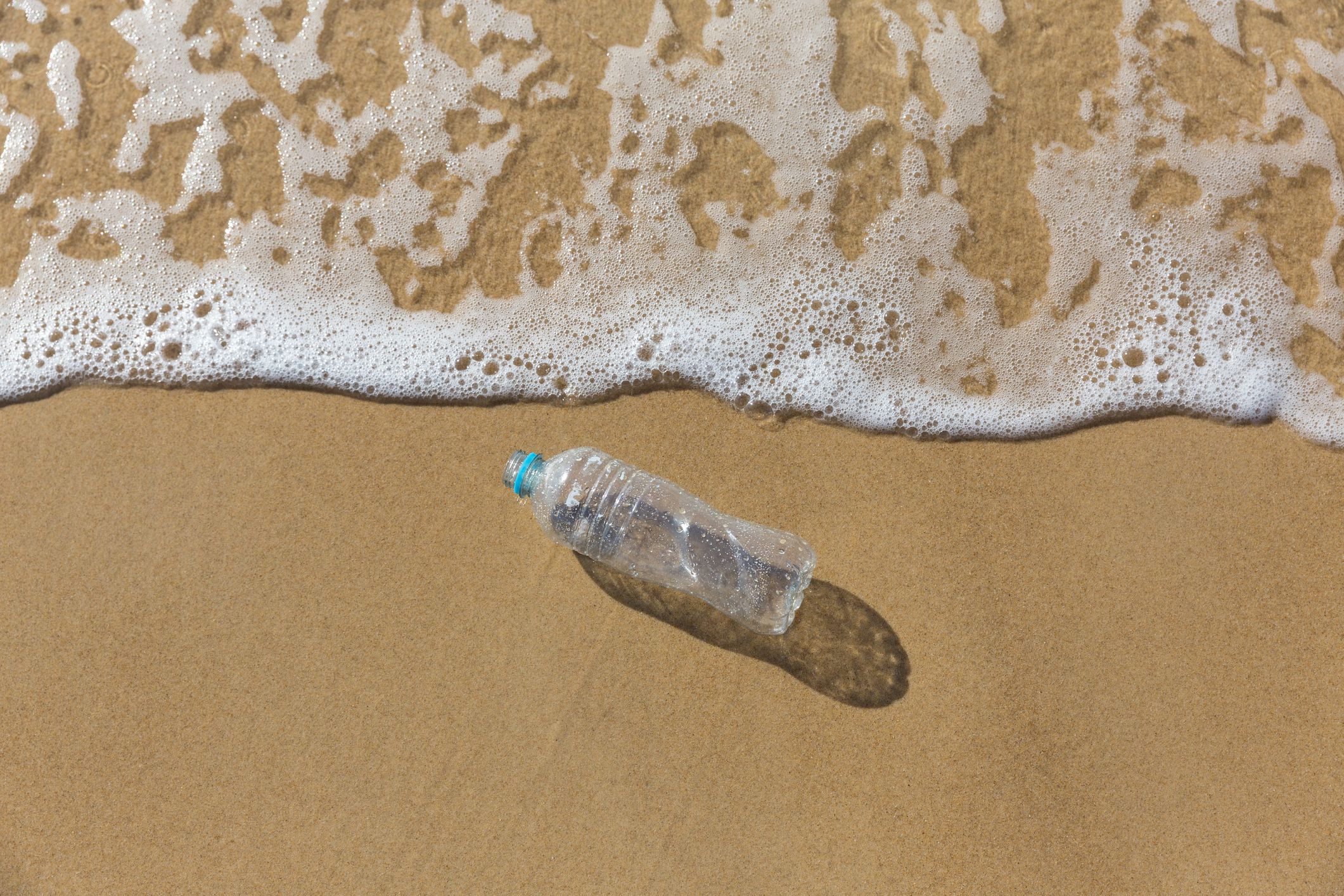 脱プラスチック！ 注目素材を使ったサステナブルなファッション