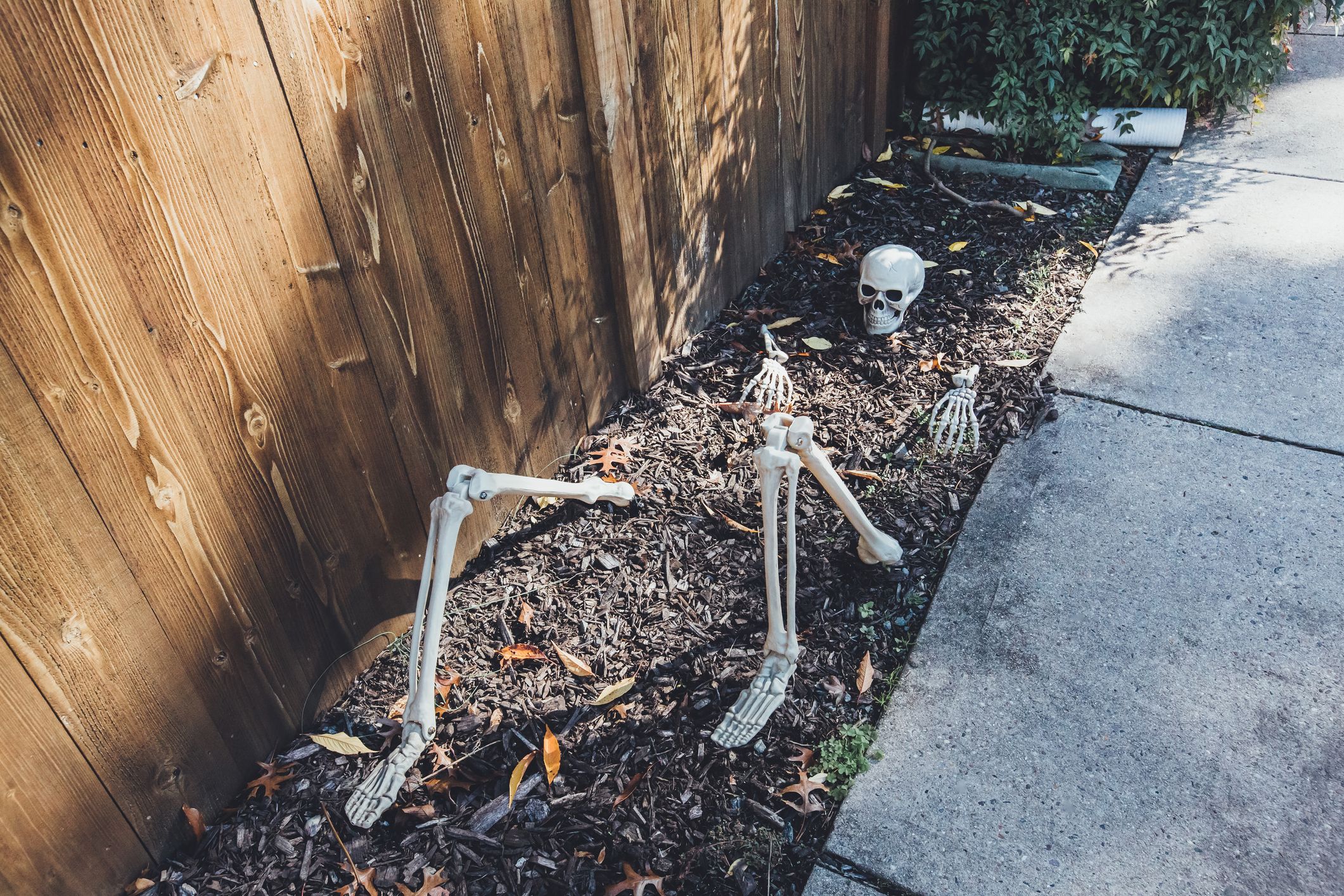 Inexpensive halloween decorations clearance outdoors