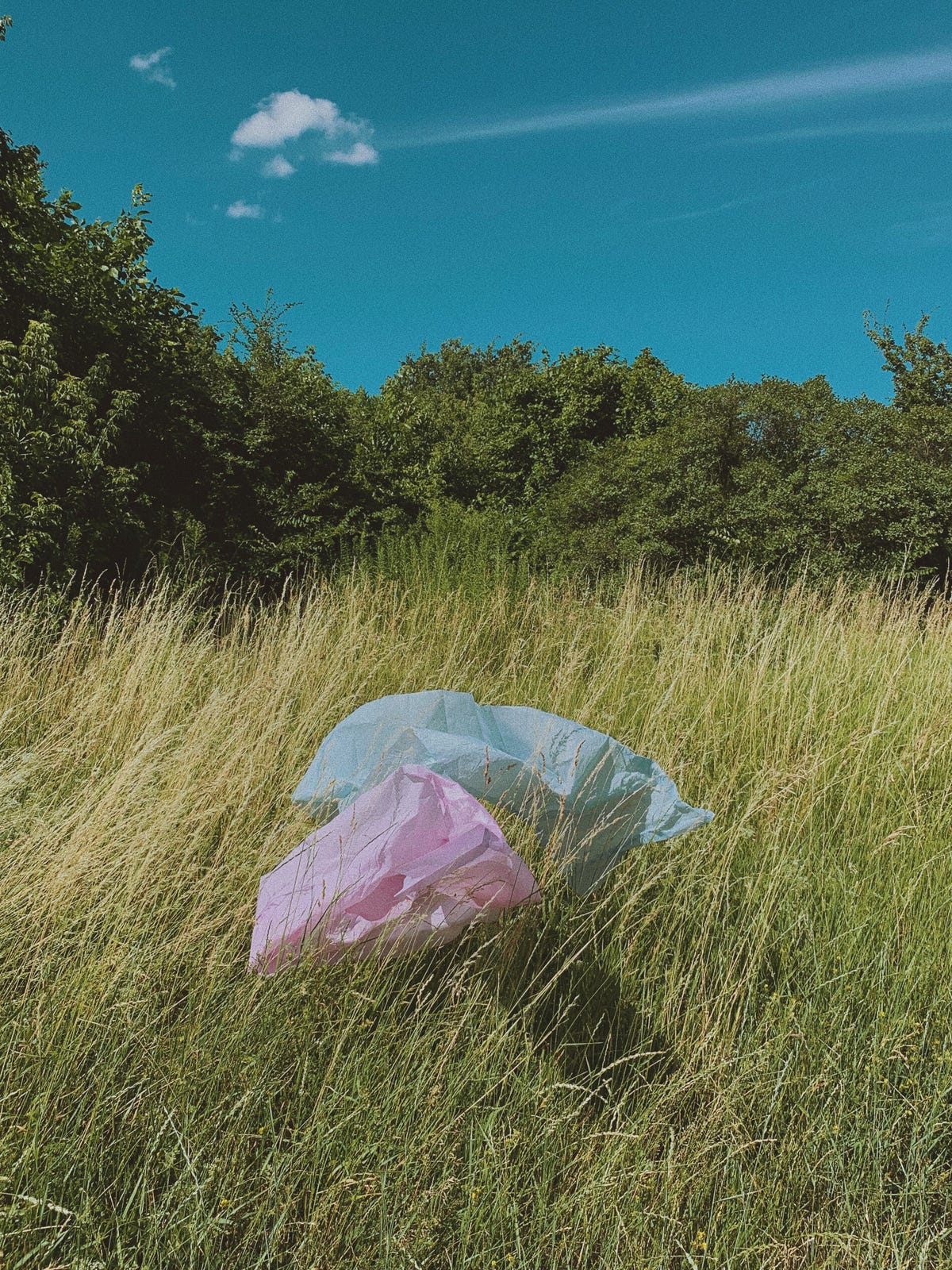 Dal 3 luglio in Italia è vietata la plastica monouso