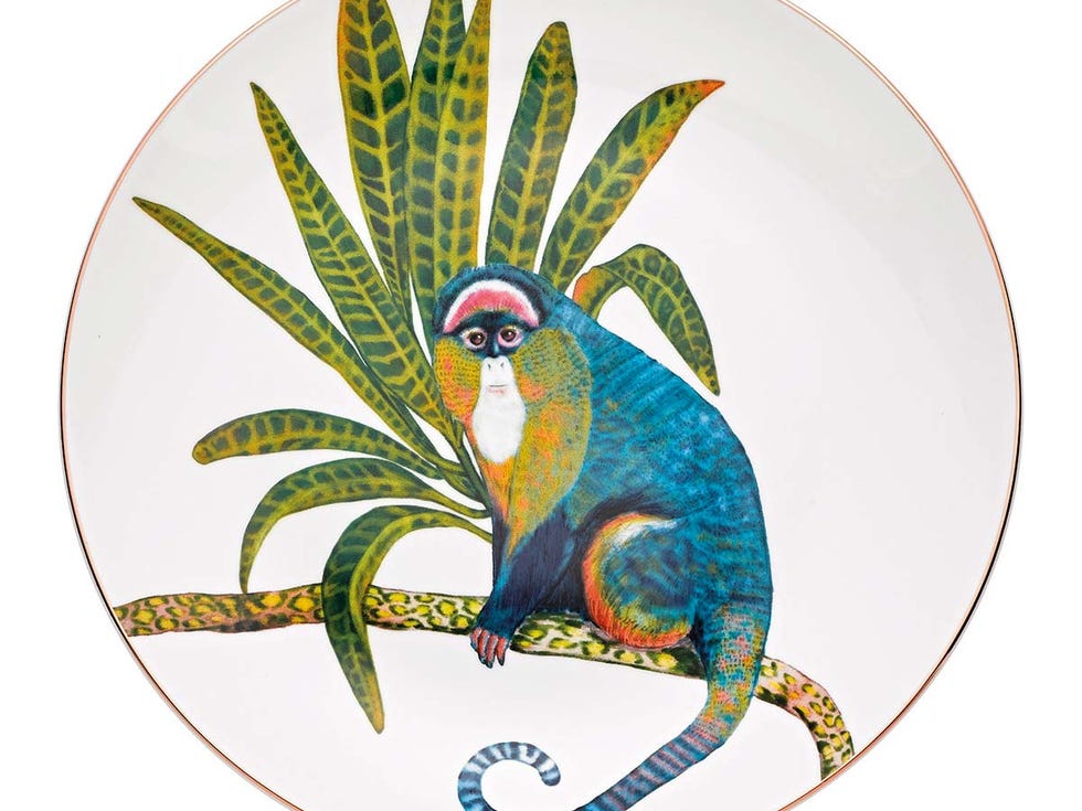 Plato con estampado animal
