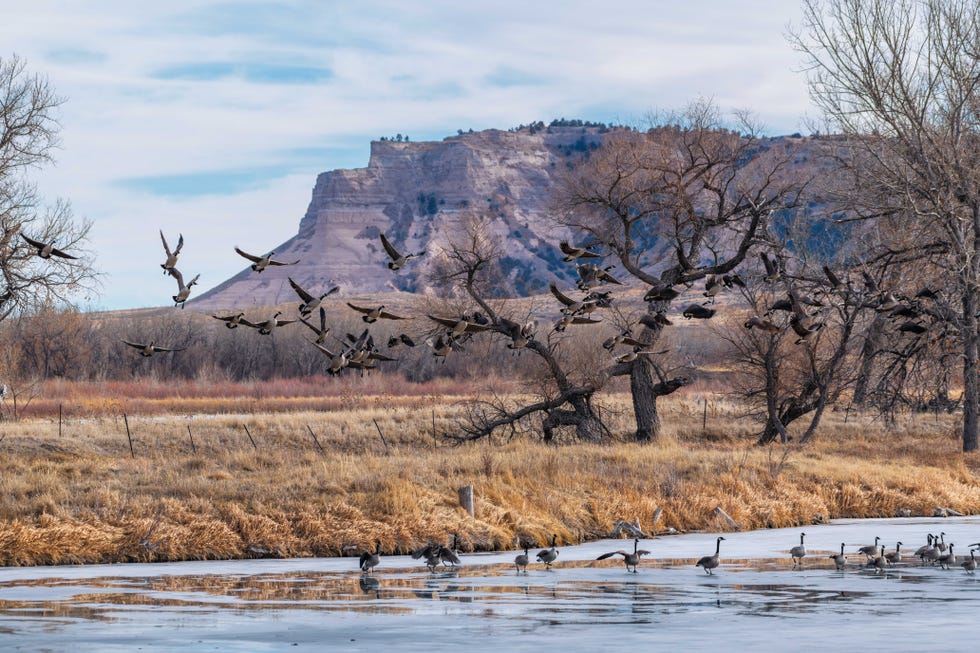 platte river valley