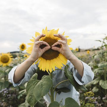 playful boy covering his face with sunflower in a field