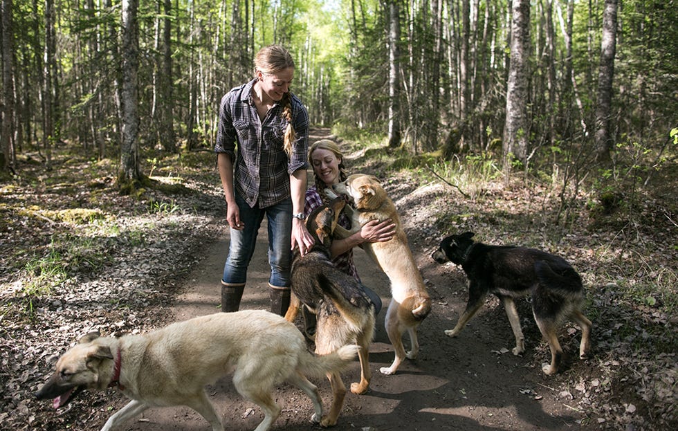 playing with dogs on the trail