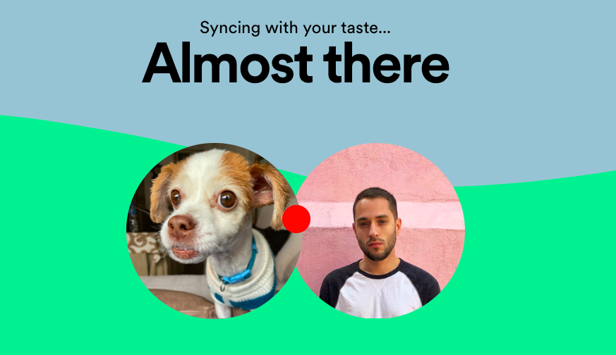La playlist de Spotify de tu mascota.