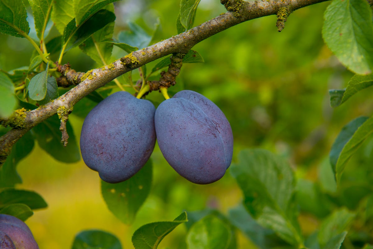 A Urologist Explains the Medical Phenomenon of Blue Balls
