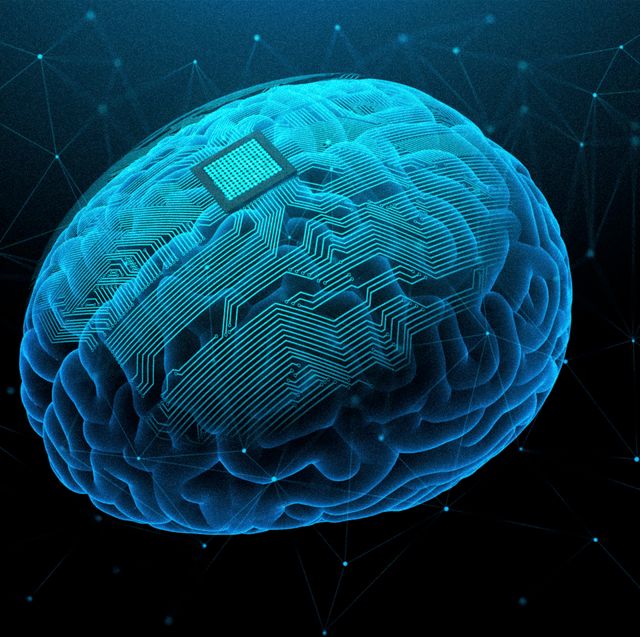 a blue brain in computer