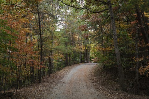 view of beaver ridge trail which loops around the neighborhood located directly behind the crypto mine in murphy, nc october 12, 2022