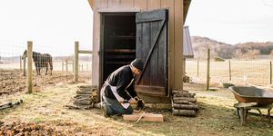 House, Rural area, Outhouse, Recreation, Building, 