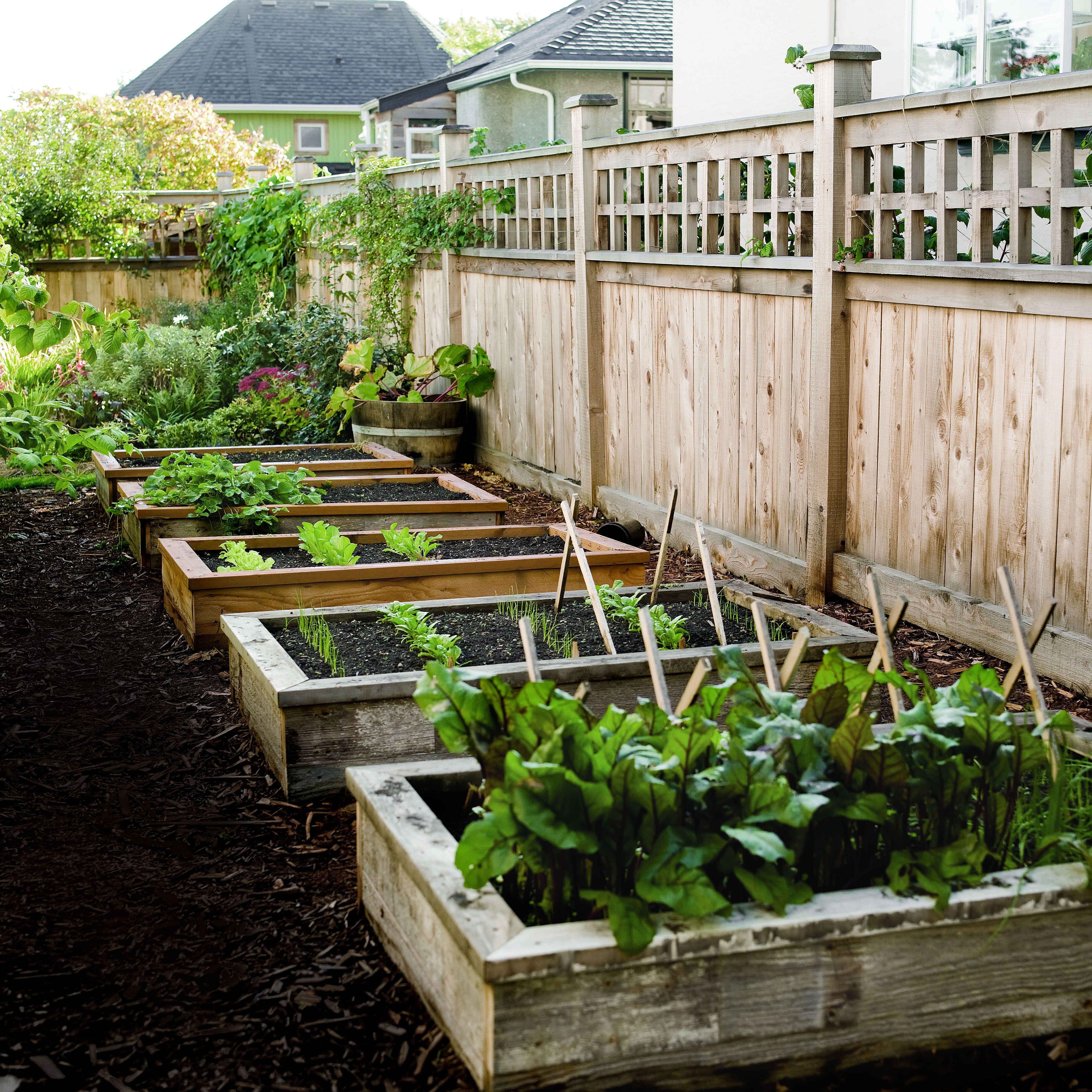 How To Start a Garden Build This Raised Garden Bed