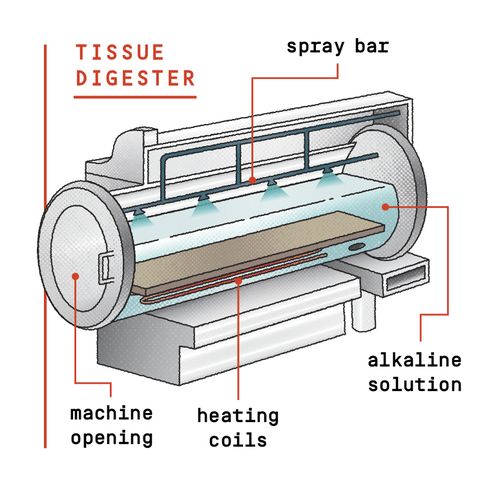 illustrazione di un digestore di tessuti che mostra serpentine di riscaldamento immerse in una soluzione alcalina