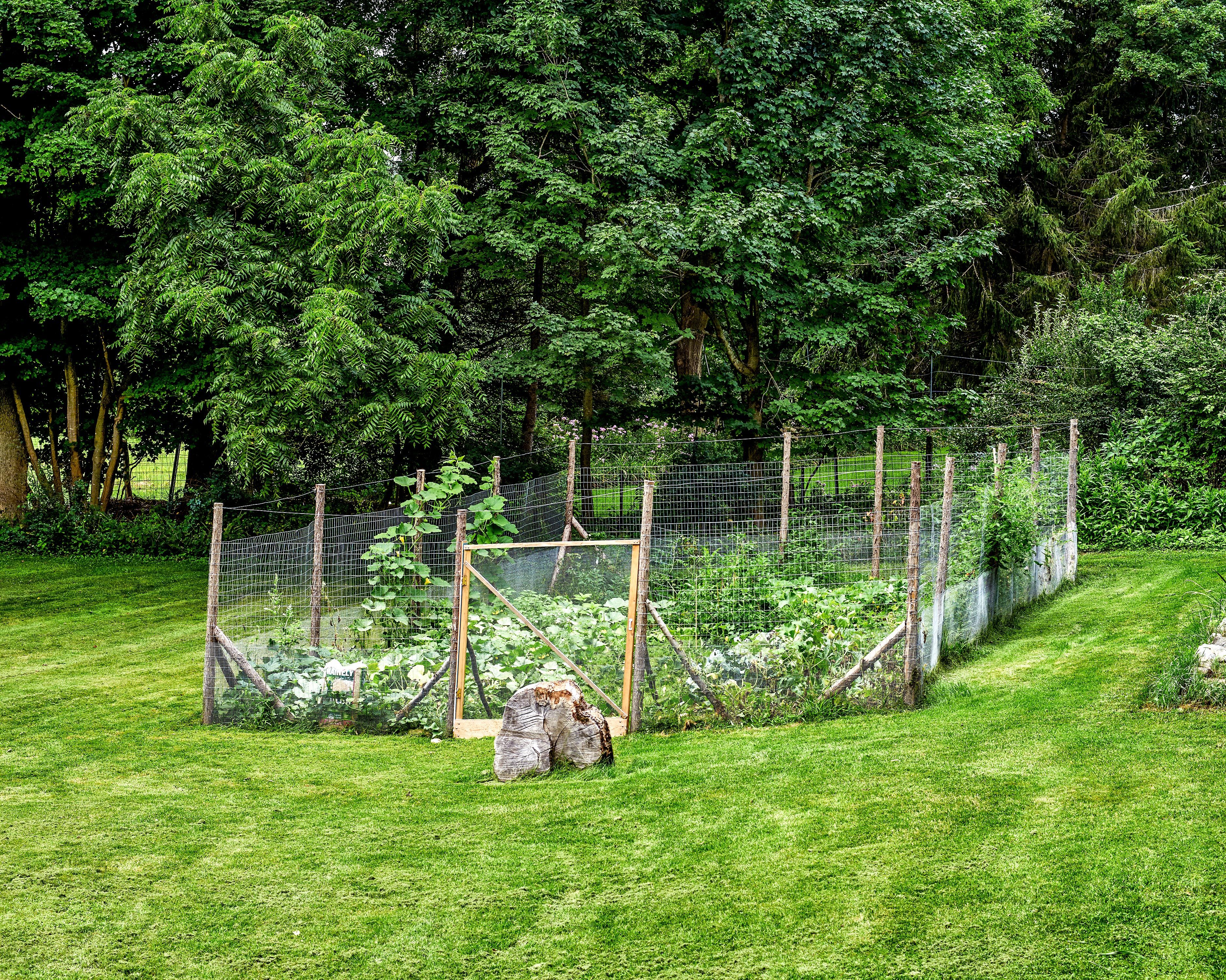 Fence for Home Gardens, Using Fencing Wire & Chicken Netting