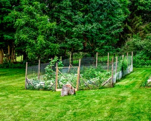 garden fence