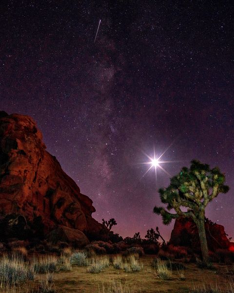 astrophotography of landscape and night sky at joshua tree national park