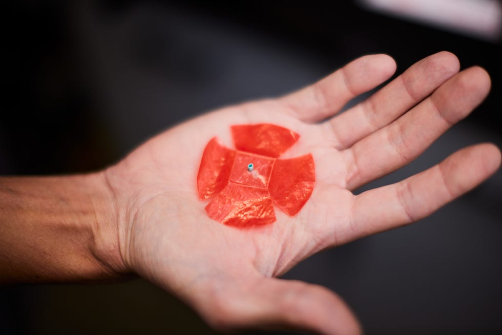 nyu professor leif ristrouph holds a piece of paper