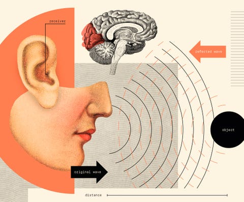 echolocation