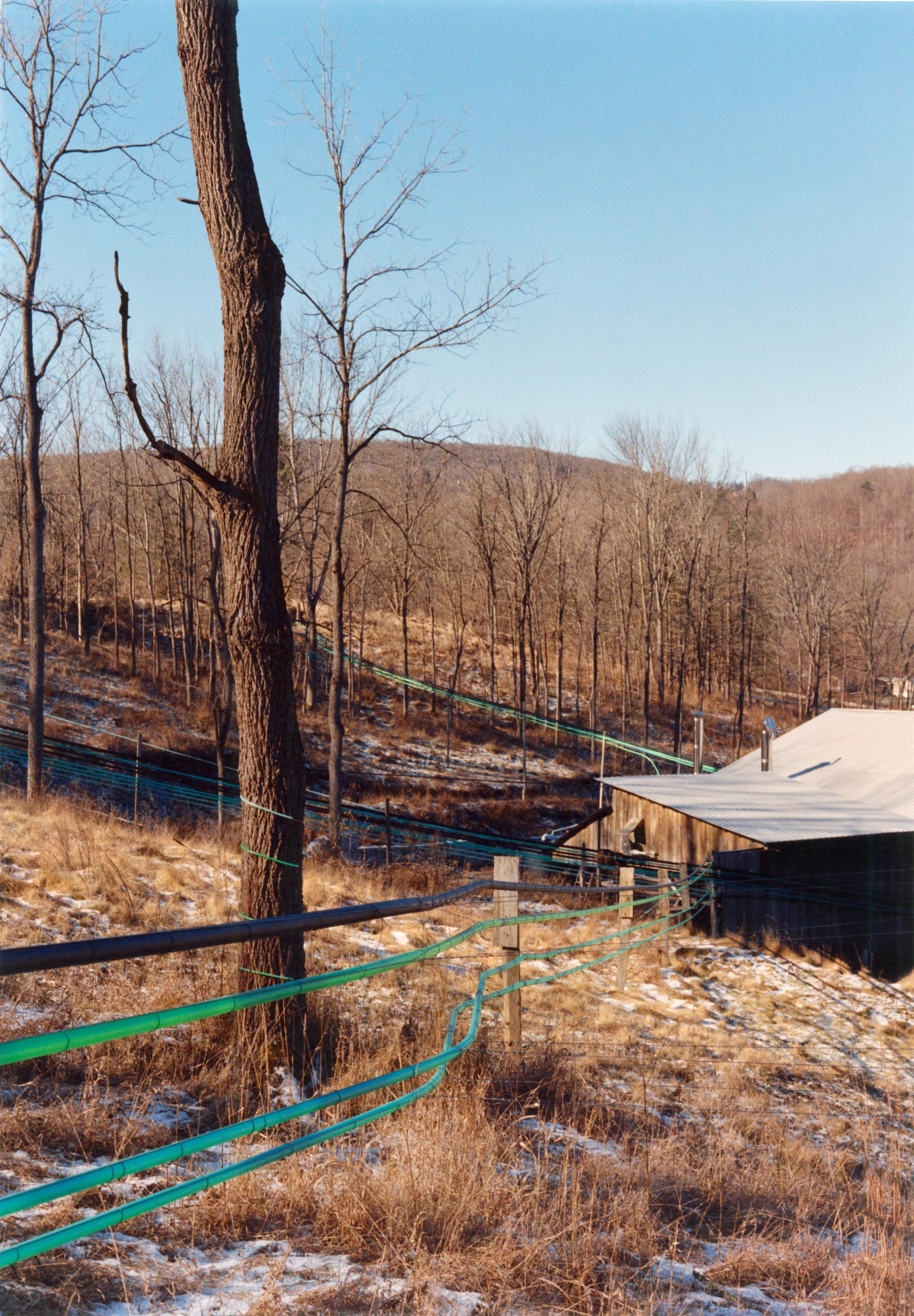 sap hoses leading to facility