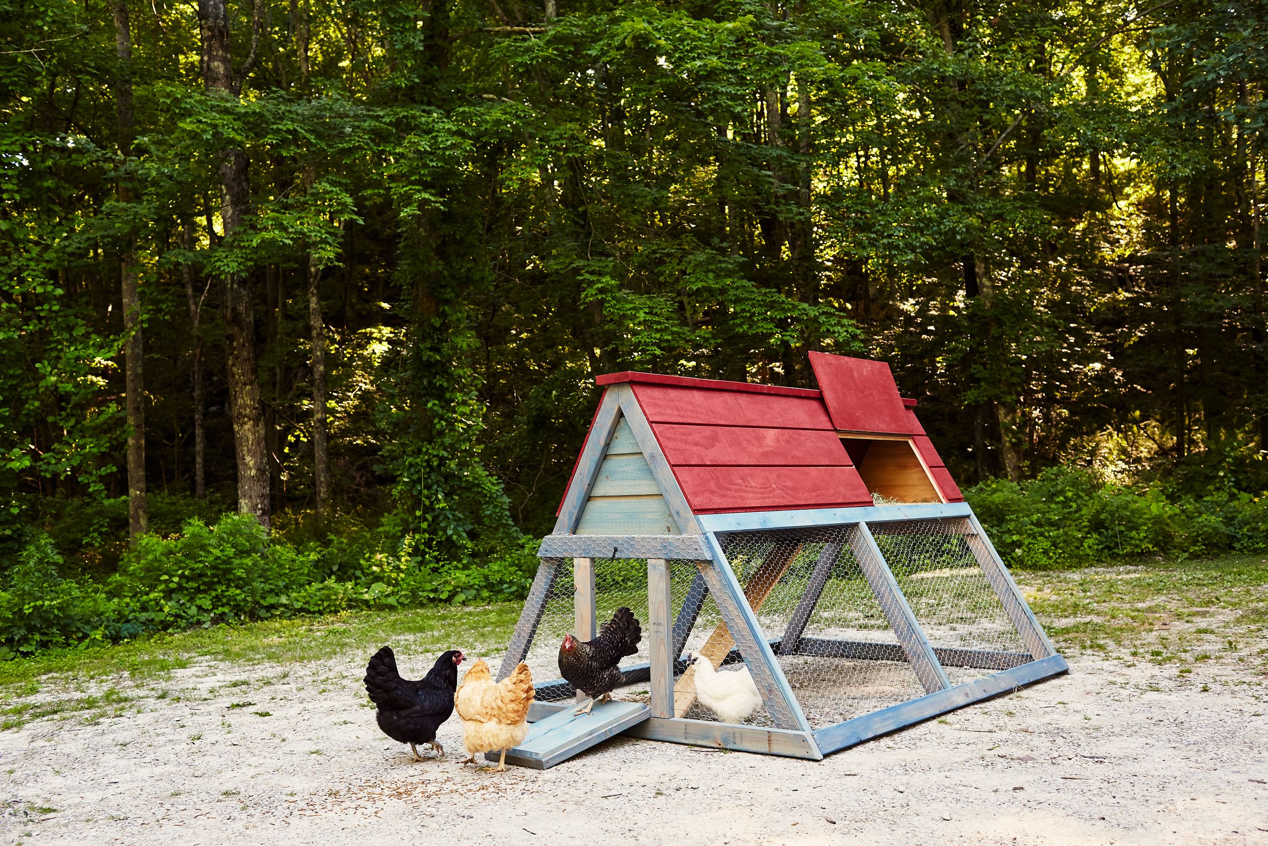 Virtual Chicken Coop Tour No. 12: Six Garden Coops Built and