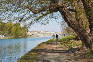 po river bank path with trees, people and cyclists in a sunny day, blue sky in piedmont, turin, italy